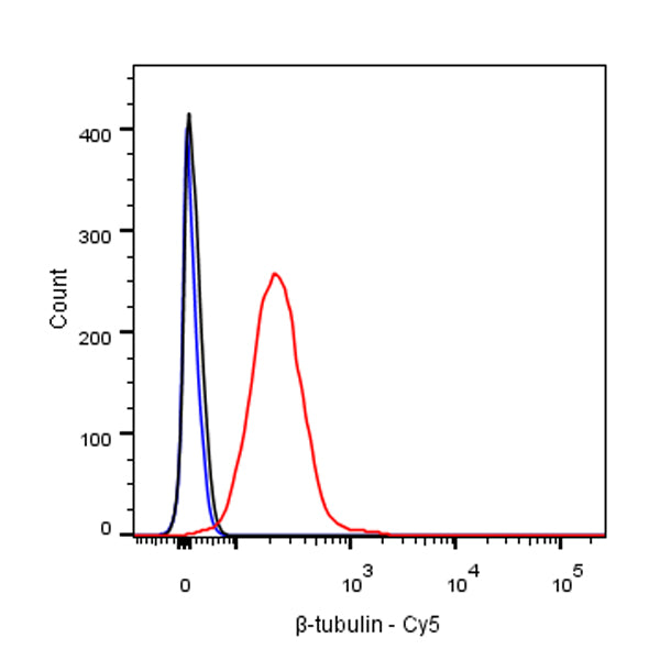 β-tubulin Recombinant Rabbit mAb (Cy5 Conjugate) (S-312-113)