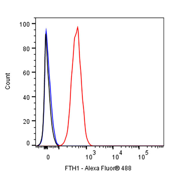 FTH1 Recombinant Rabbit mAb (S-1372-136)