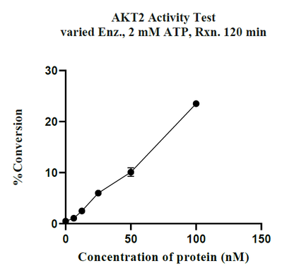 AKT2 GST Tag Protein, Human