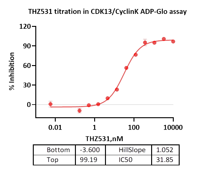 CDK13/Cyclin K Protein