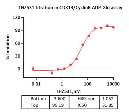 CDK13/Cyclin K Protein