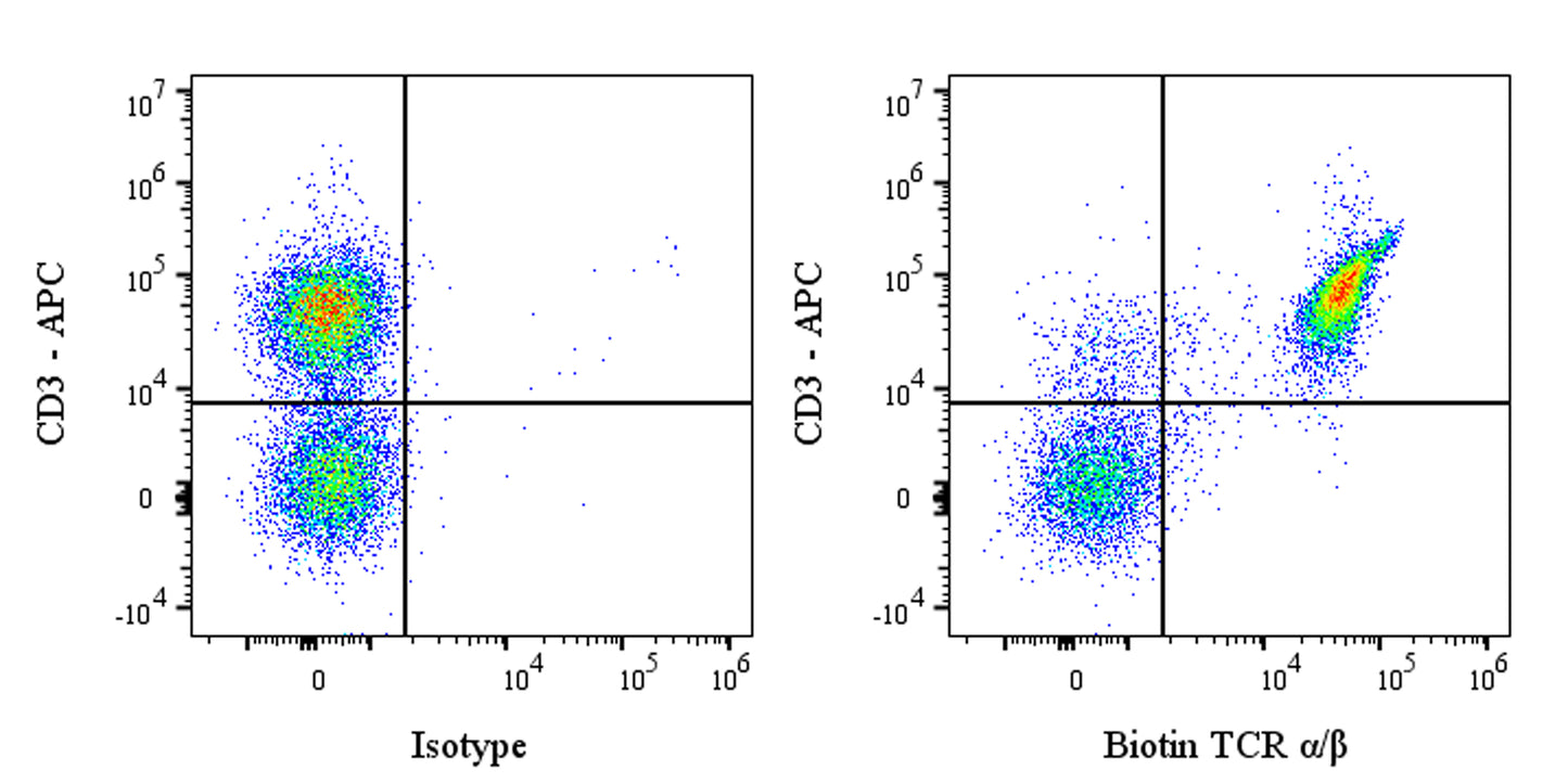 Biotin Mouse Anti-Rat TCR α/β Antibody (R73)