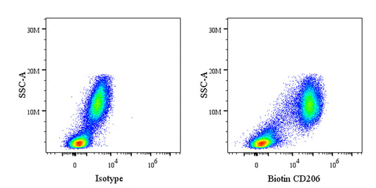 Biotin Mouse Anti-Human CD206 Antibody (15-2)