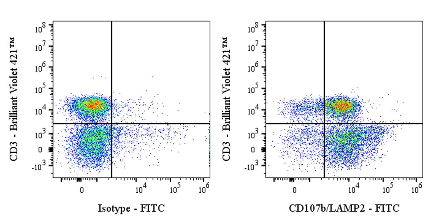 FITC Mouse Anti-Human CD107b/LAMP2 Antibody (H4B4)