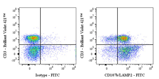 FITC Mouse Anti-Human CD107b/LAMP2 Antibody (H4B4)