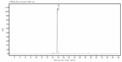 IL-23 Protein, Human