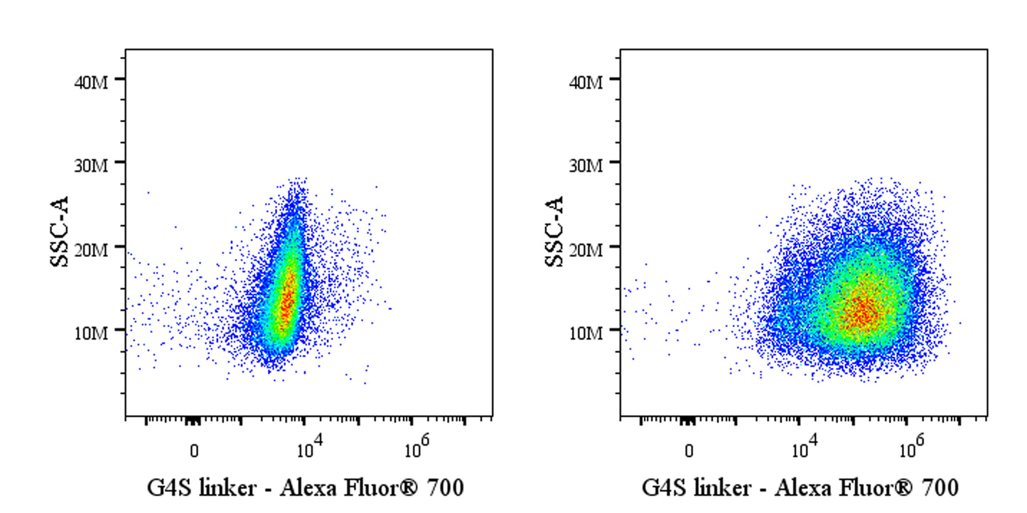 G4S linker Recombinant Rabbit mAb (Alexa Fluor® 700 Conjugate) (S-5030)