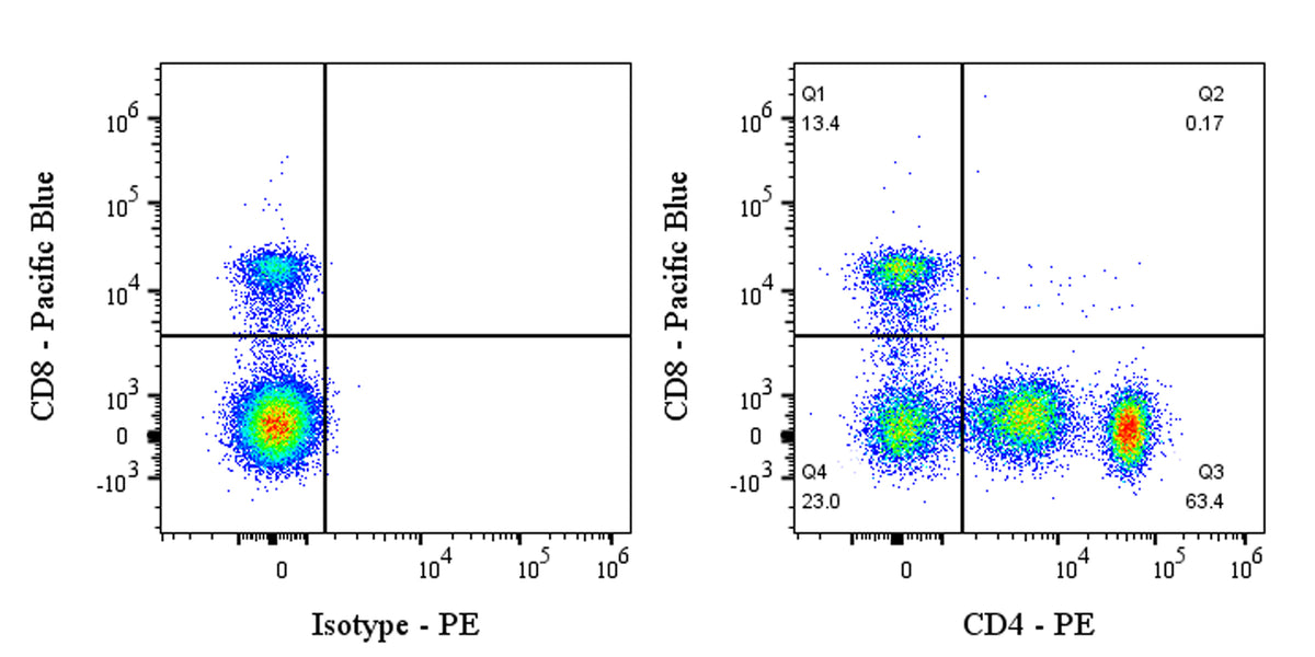 PE Rabbit Anti-Human CD4 Antibody (13B8.2)