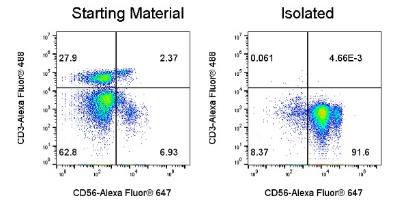 Human NK Cell Isolation Kit (Column-Based)