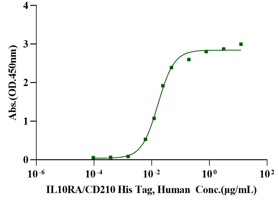 IL-10 Protein, Human