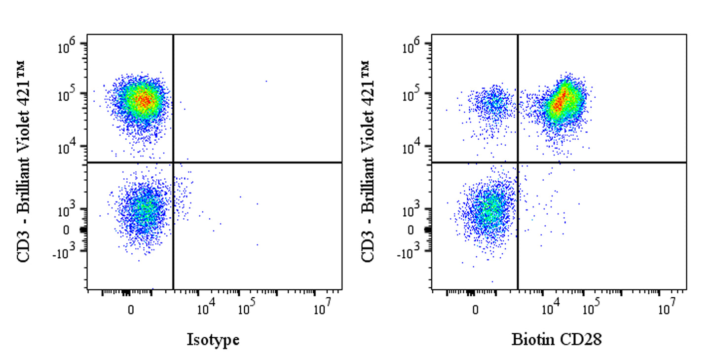 Biotin Mouse Anti-Human CD28 Antibody (CD28.2)