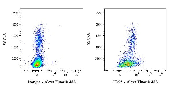 Alexa Fluor® 488 Mouse Anti-Human/ Monkey CD95 Antibody (DX2)