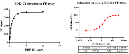 PDE4C1 GST&Flag Tag Protein, Human