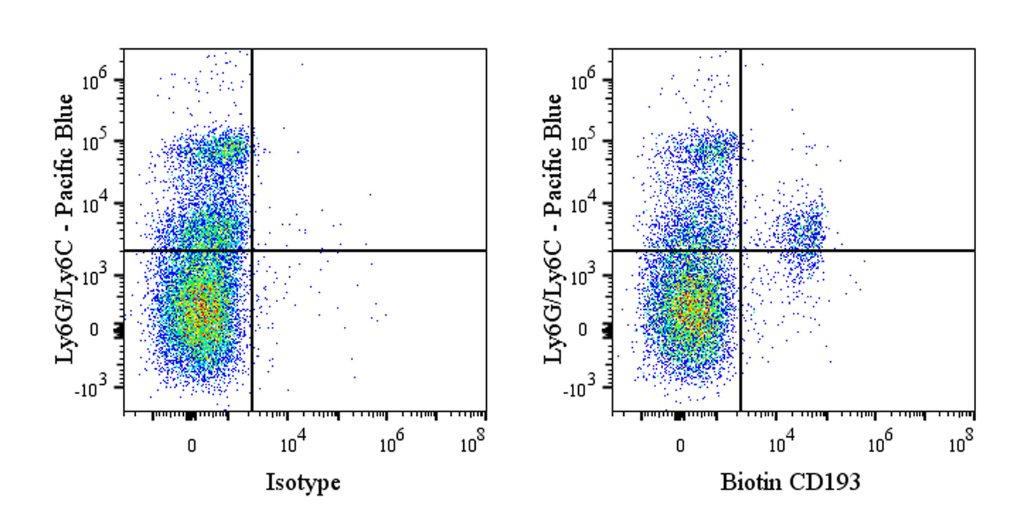 Biotin Rat Anti-Mouse CD193 Antibody (S-R699)