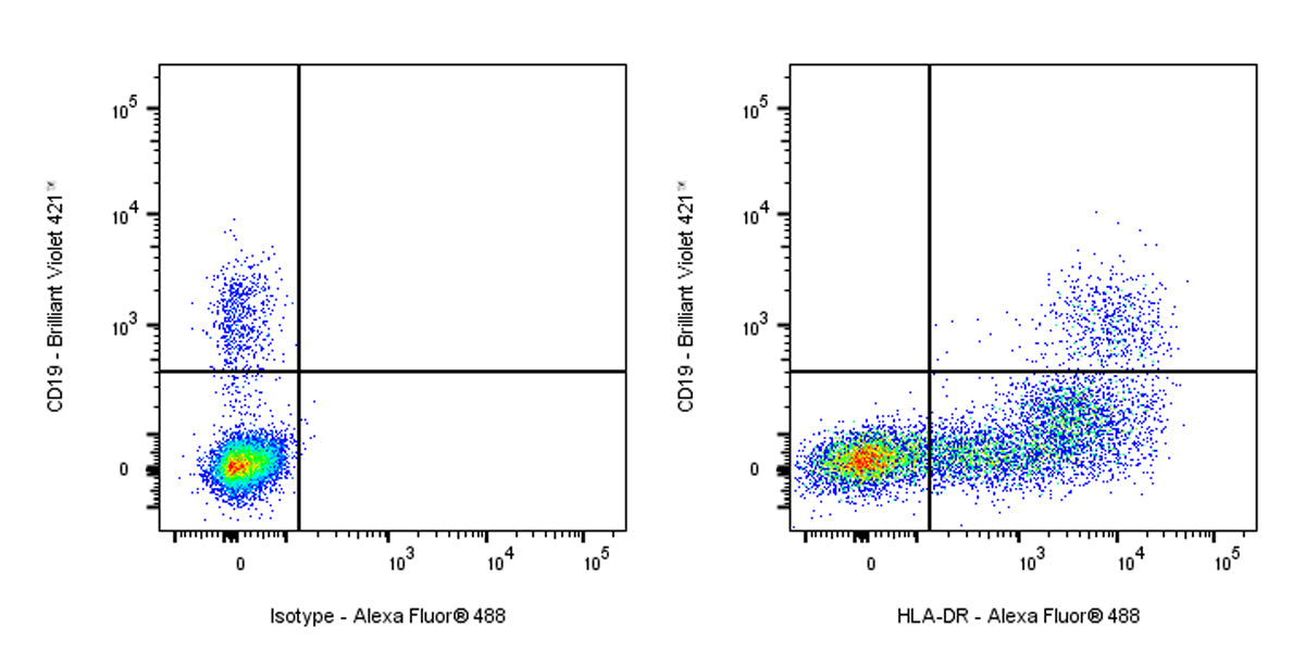 Alexa Fluor® 488 Mouse Anti-Human HLA-DR Antibody (L243)