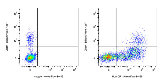 Alexa Fluor® 488 Mouse Anti-Human HLA-DR Antibody (L243)