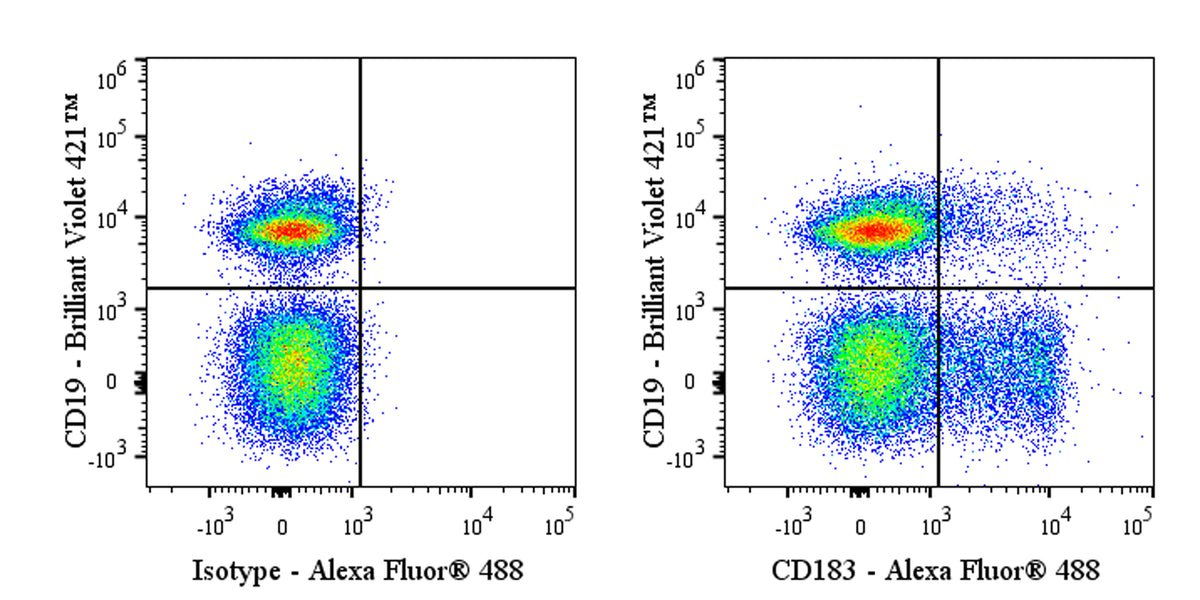 Alexa Fluor® 488 Armenian hamster Anti-Mouse CD183 Antibody (CXCR3-173)
