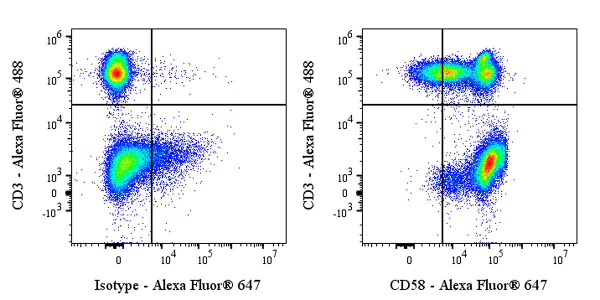 Alexa Fluor® 647 Rabbit Anti-Human CD58 Antibody (S-1046-14)