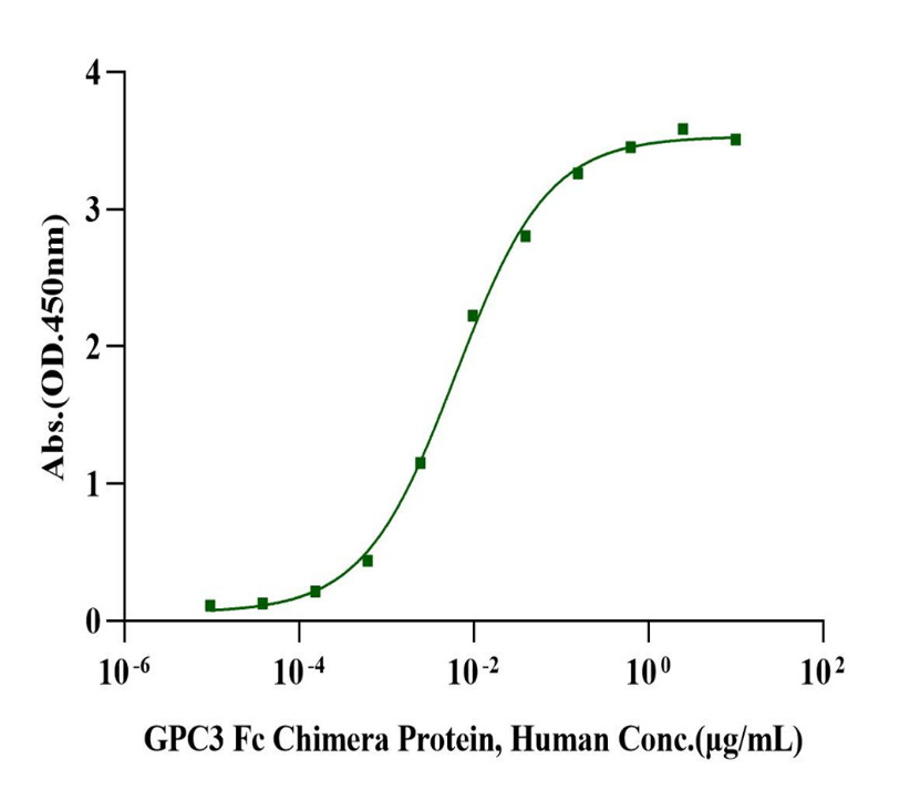 FGF-basic(146aa) Protein, Human