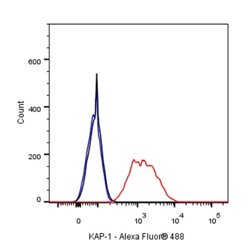 KAP-1 Recombinant Rabbit mAb (S-986-5)