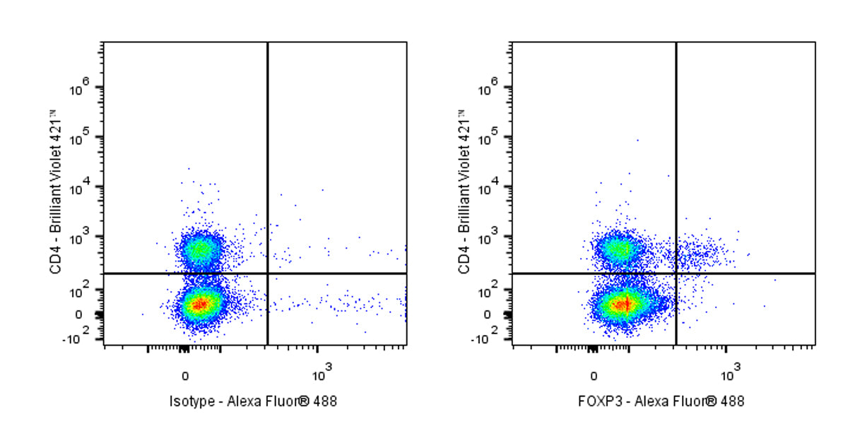 Alexa Fluor® 488 Mouse Anti-Human FOXP3 Antibody (S-2903)