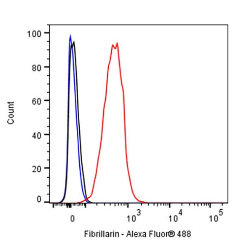 Fibrillarin Recombinant Rabbit mAb (S-1718-171)