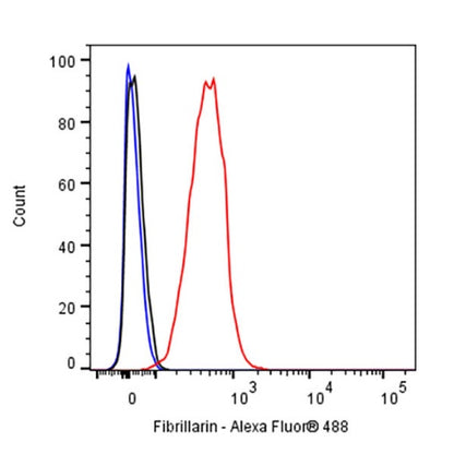 Fibrillarin Recombinant Rabbit mAb (S-1718-171)