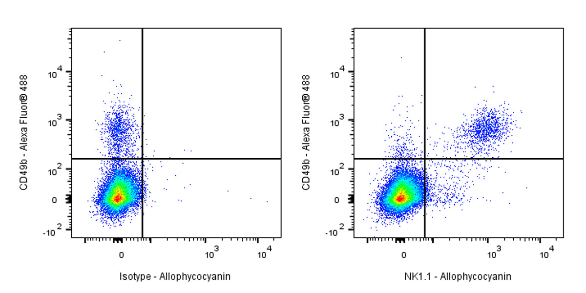 APC Rabbit Anti-Mouse NK1.1/CD161 Antibody (S-428-32)