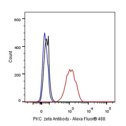 PKC zeta Recombinant Rabbit mAb (S-1306-34)