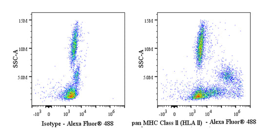 Invivo Anti-Human pan MHC Class II (HLA II) Recombinant mAb