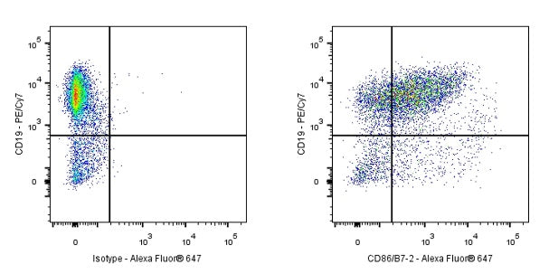 Rat Anti-Mouse CD86/B7-2 Antibody (GL-1)