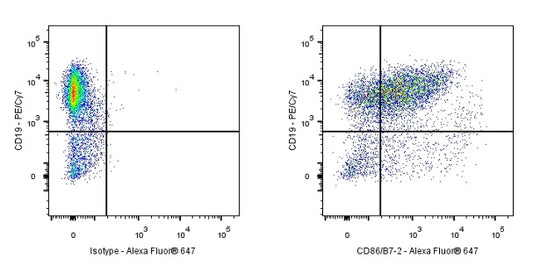 Rat Anti-Mouse CD86/B7-2 Antibody (GL-1)