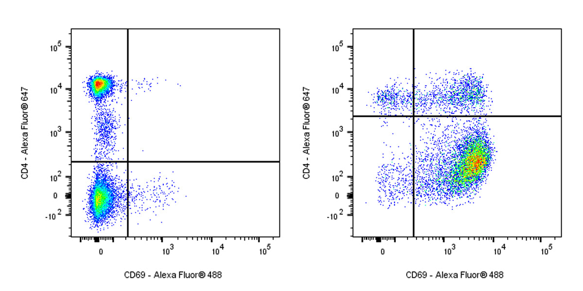 Mouse Anti-Human CD69 Antibody (FN50)