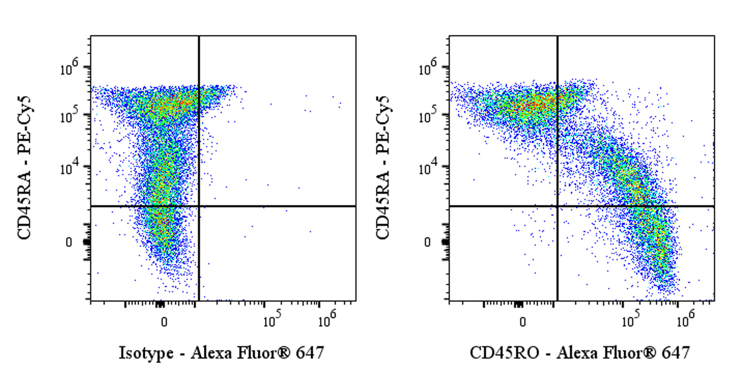 Alexa Fluor® 647 Mouse Anti-Human CD45RO Antibody (UCHL1)
