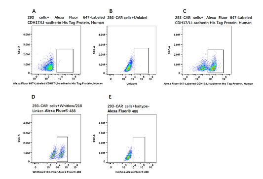 Alexa Fluor 647-Labeled CDH17/LI-cadherin His Tag Protein, Human