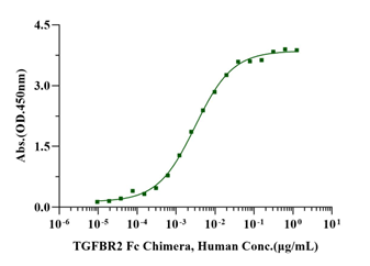 TGFBR2 Fc Chimera Protein, Human