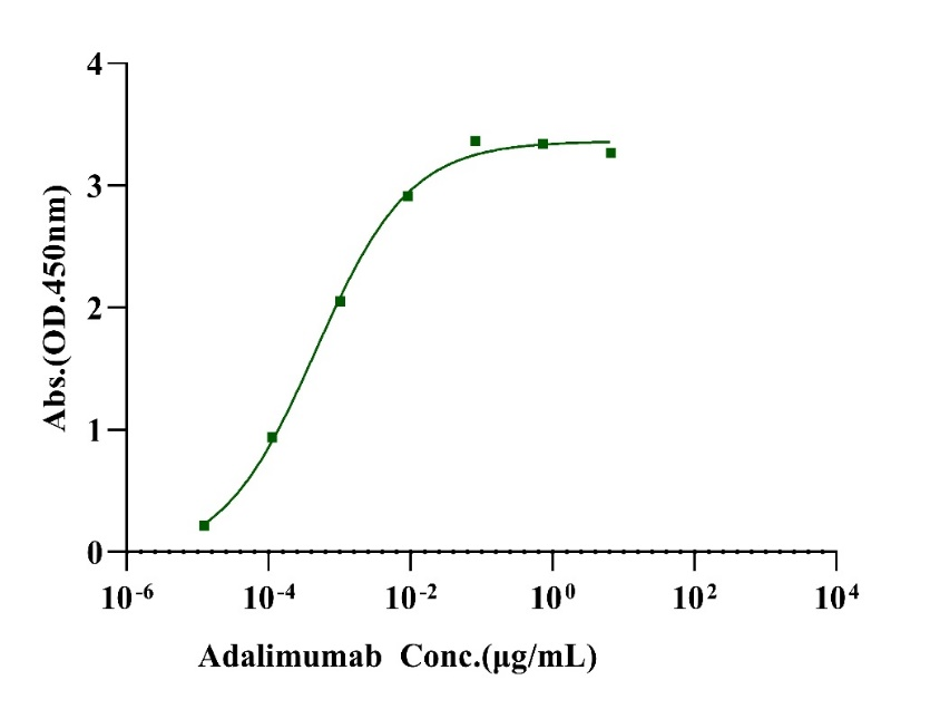 TNF-alpha His Tag Protein, Human
