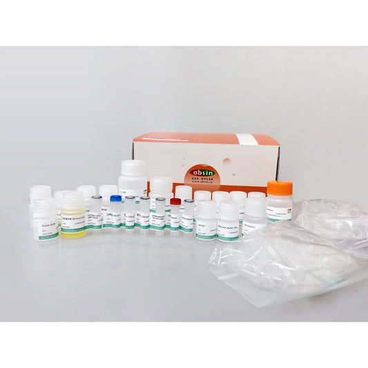 Product image media