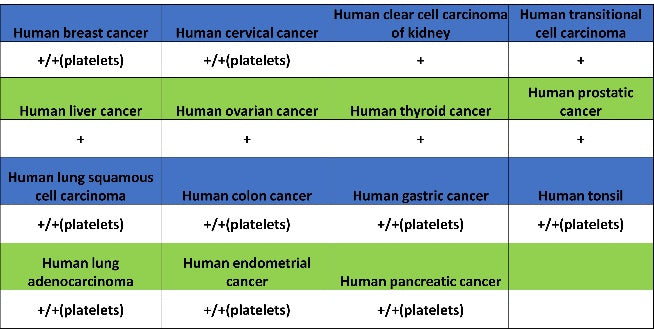 CD61 Recombinant Rabbit mAb (S-2515-6)