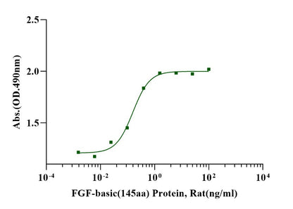FGF-basic (145aa) Protein, Rat