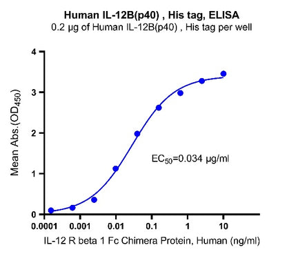 IL-12B(p40) His Tag Protein, Human