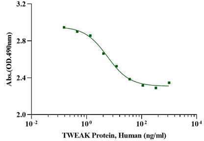 TWEAK Protein, Human