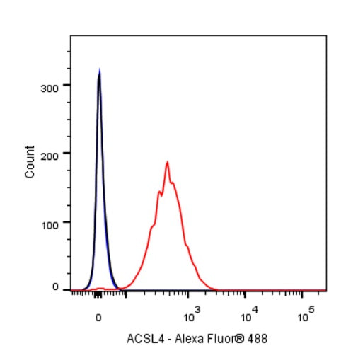 ACSL4/FACL4 Recombinant Rabbit mAb (S-461-6)