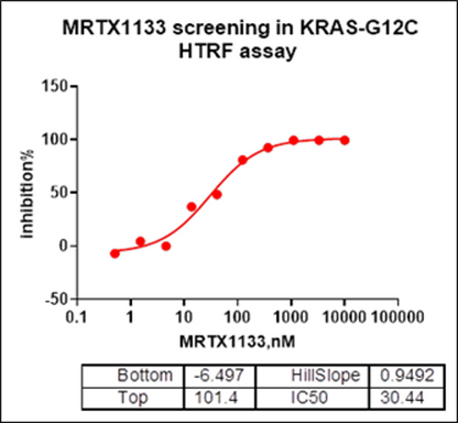 KRAS [G12C] His Tag Protein, Human(Load GDP/GMPPNP)