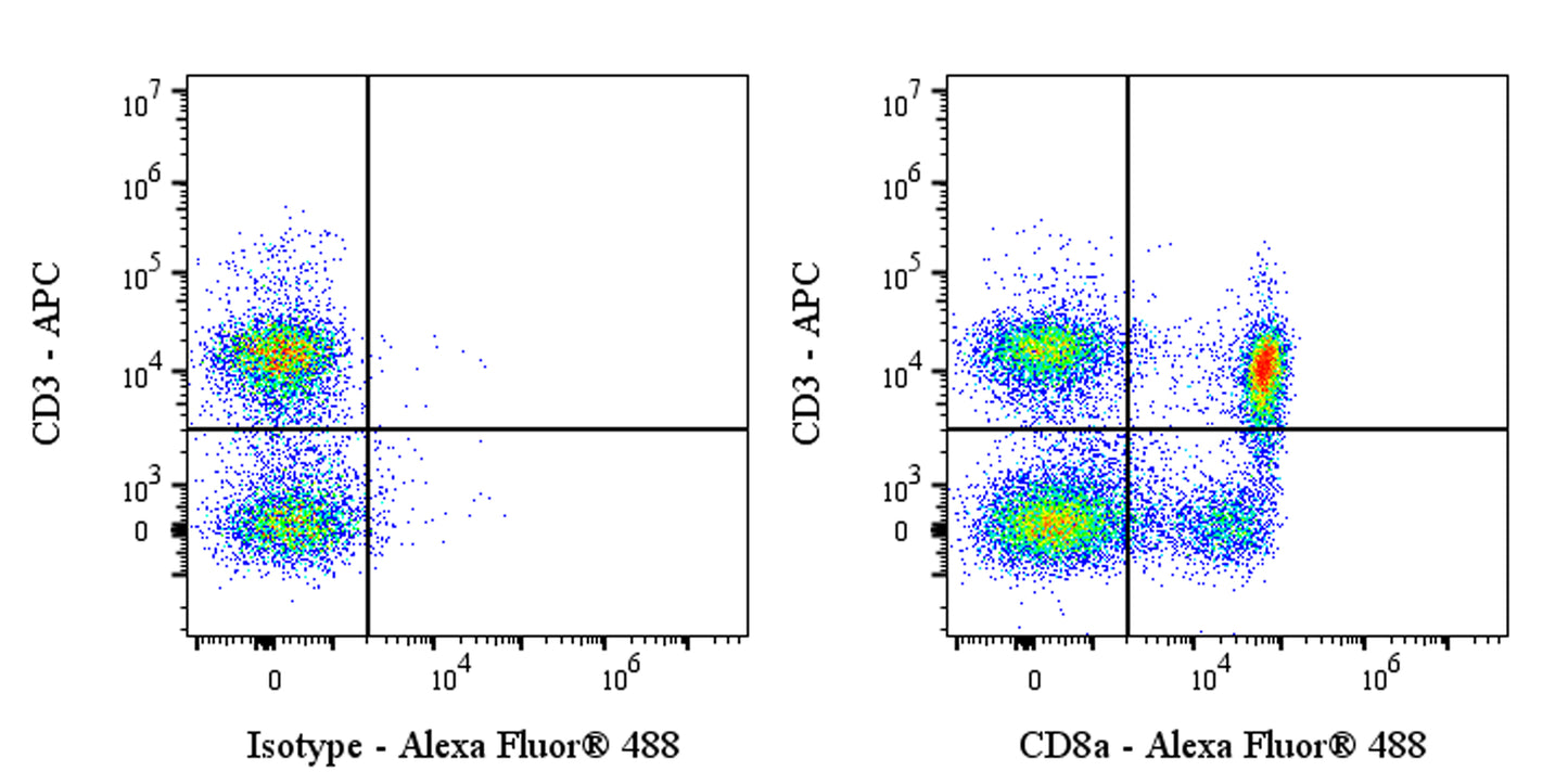 Invivo anti-Rat CD8a Recombinant mAb