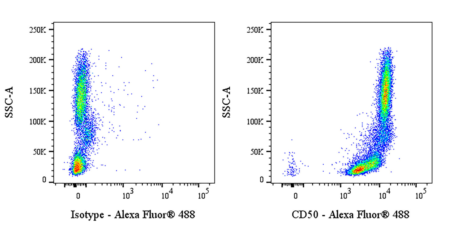 Mouse Anti-Human CD50 Antibody (S-4993)