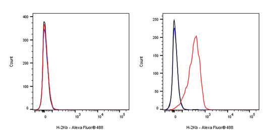 Mouse Anti-Mouse H-2Kb Antibody (AF6-88.5)