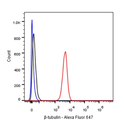 β-tubulin Recombinant Rabbit mAb (Alexa Fluor®647 Conjugate) (S-312-113)