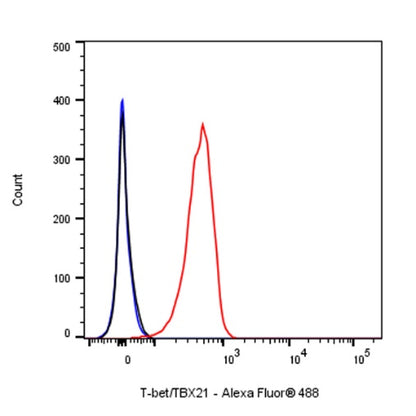 T-bet/TBX21 Recombinant Rabbit mAb (S-583-54)