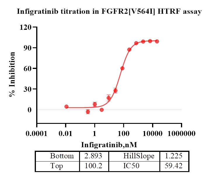 FGFR2[V564I] Protein